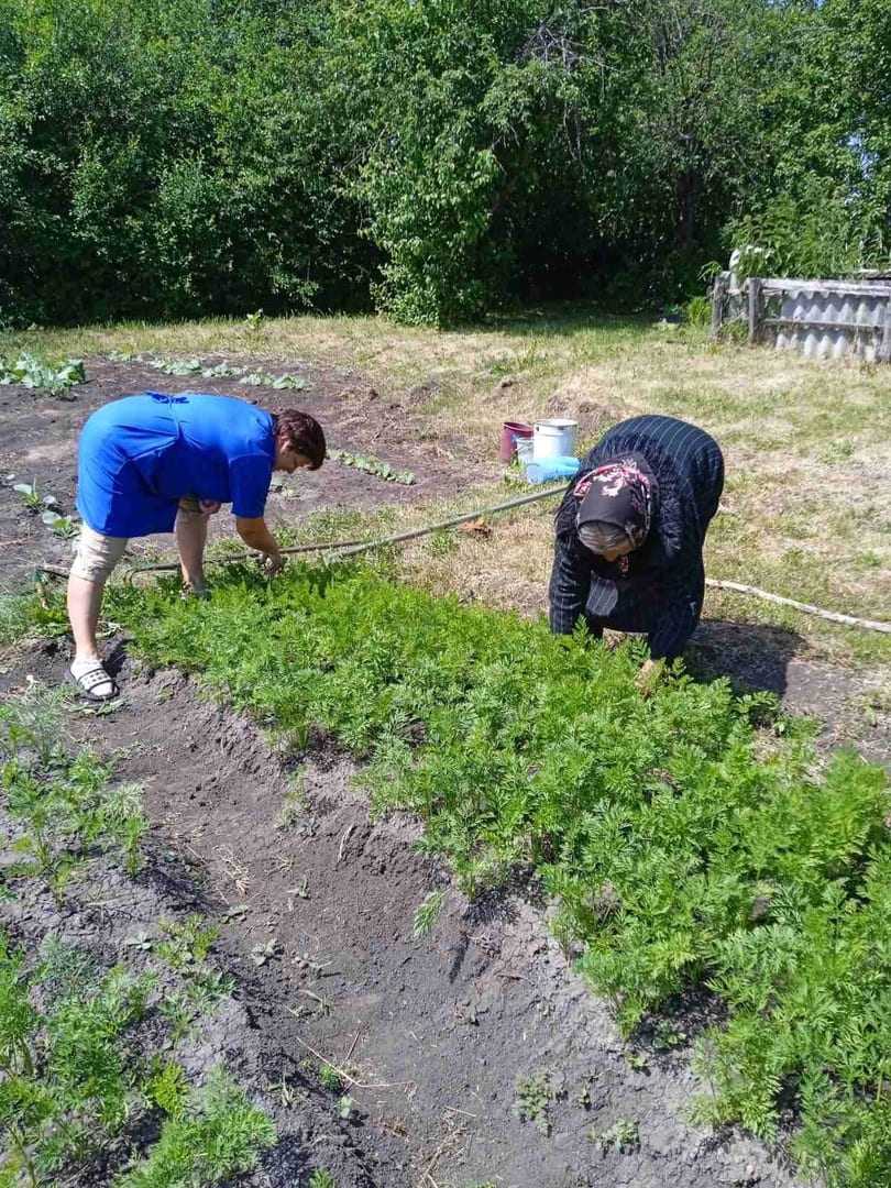 ГБУ «Комплексный центр социального обслуживания населения городского округа  город Выкса» - ГБУ «КЦСОН Гагинского района» - Results from #560